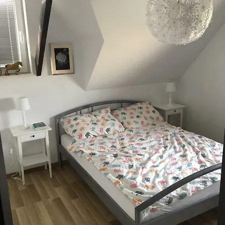 公寓 Apartament Klosowa